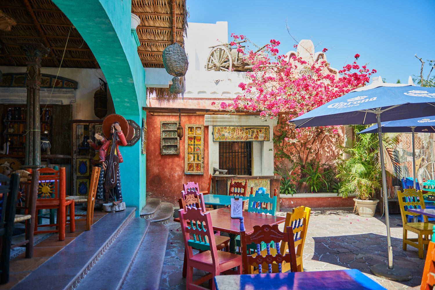 Los Carbos Roy Bolton Photography